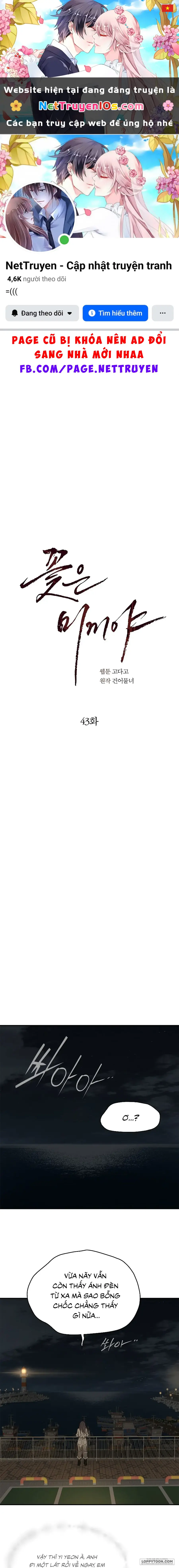 Đóa Hoa Là Mồi Nhử Chapter 43 - Trang 2