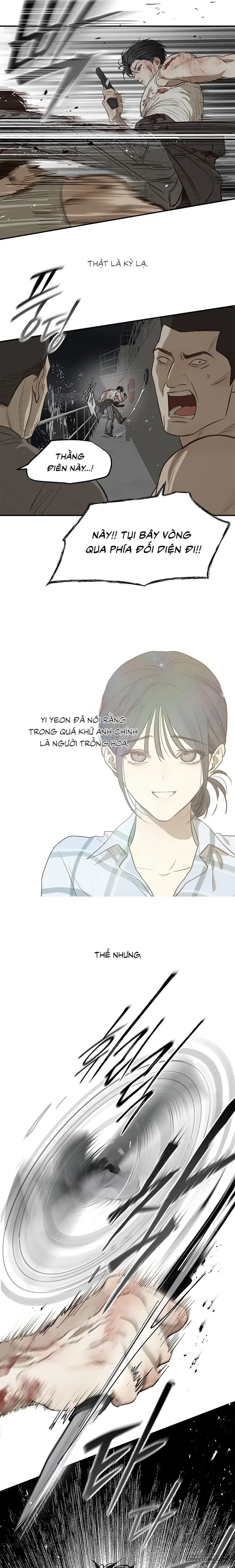Đóa Hoa Là Mồi Nhử Chapter 43 - Trang 34