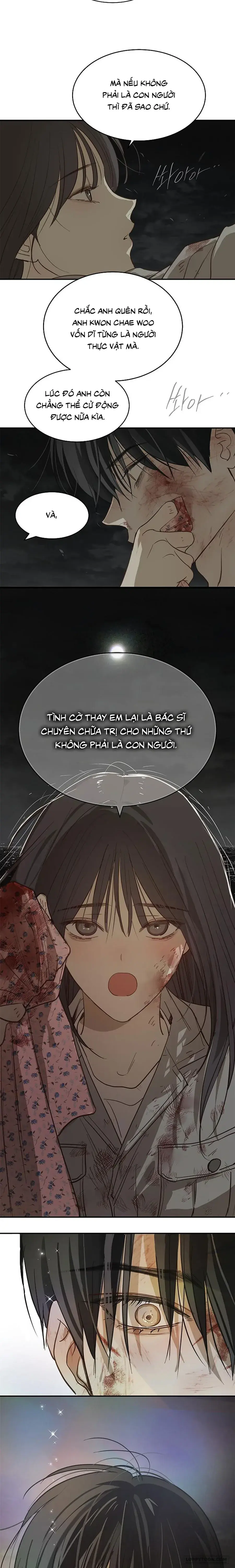Đóa Hoa Là Mồi Nhử Chapter 44 - Trang 12
