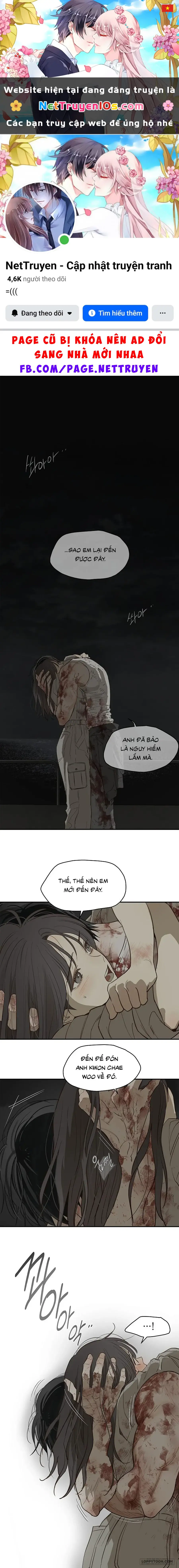 Đóa Hoa Là Mồi Nhử Chapter 44 - Trang 2