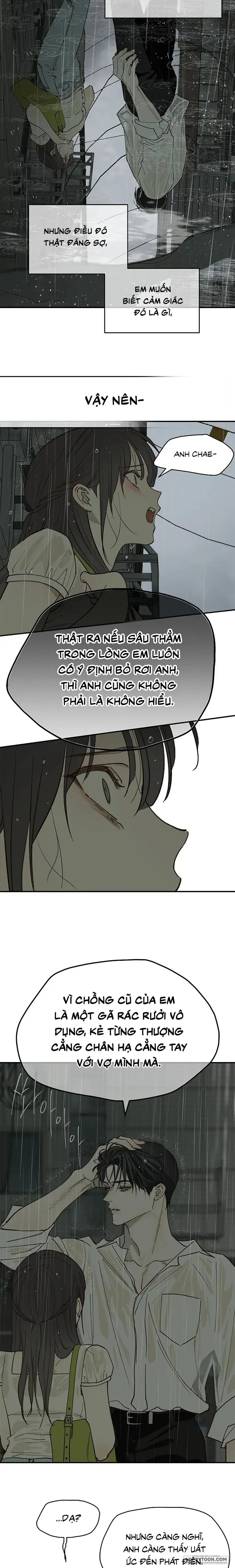 Đóa Hoa Là Mồi Nhử Chapter 47 - Trang 12