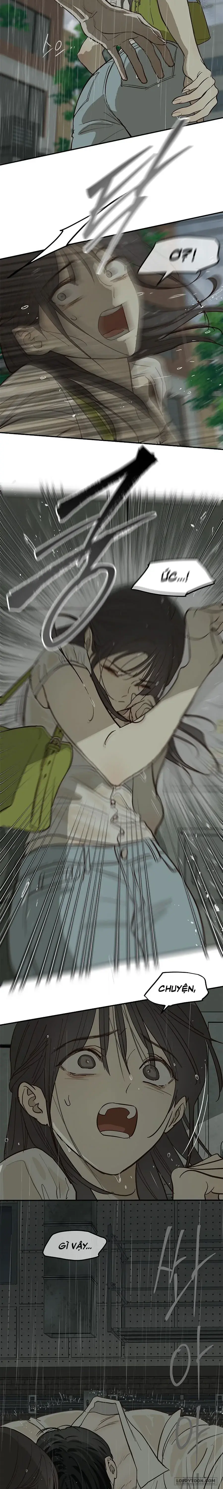 Đóa Hoa Là Mồi Nhử Chapter 47 - Trang 4