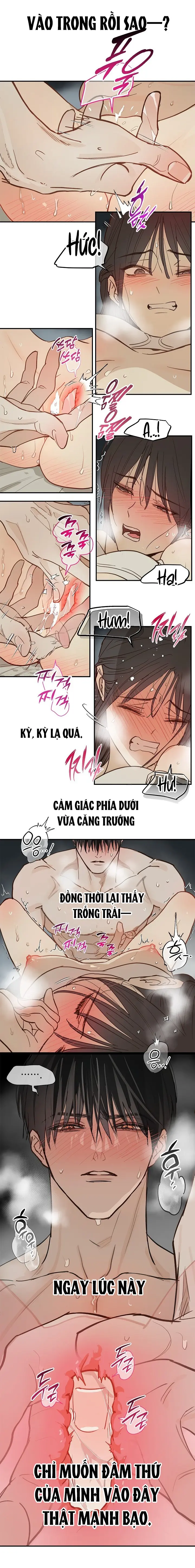 Đóa Hoa Là Mồi Nhử Chapter 48 - Trang 22