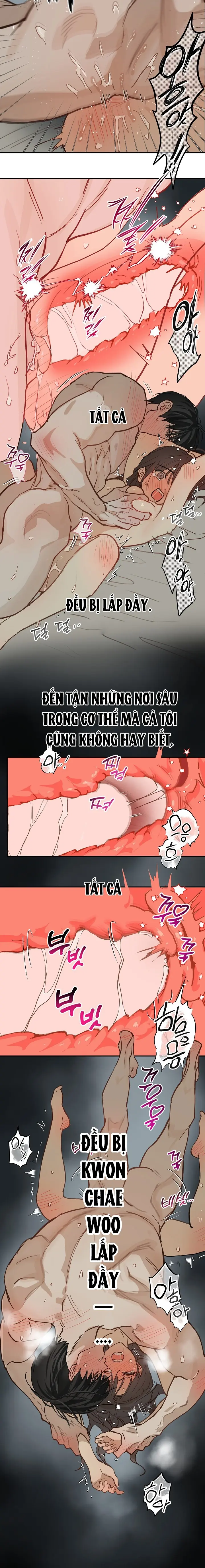 Đóa Hoa Là Mồi Nhử Chapter 50 - Trang 22