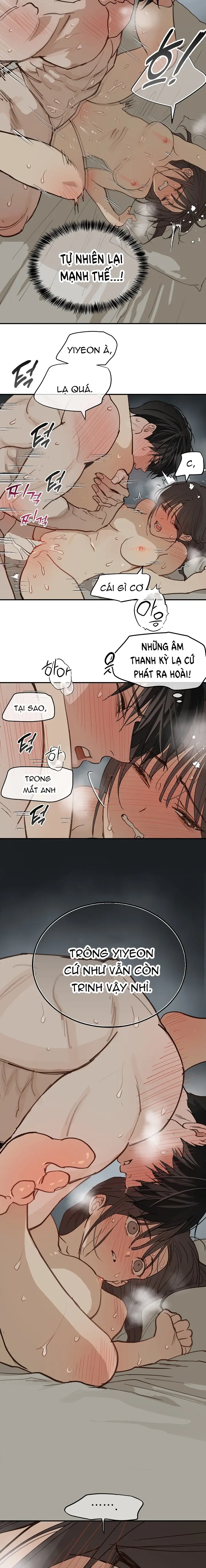 Đóa Hoa Là Mồi Nhử Chapter 50 - Trang 4