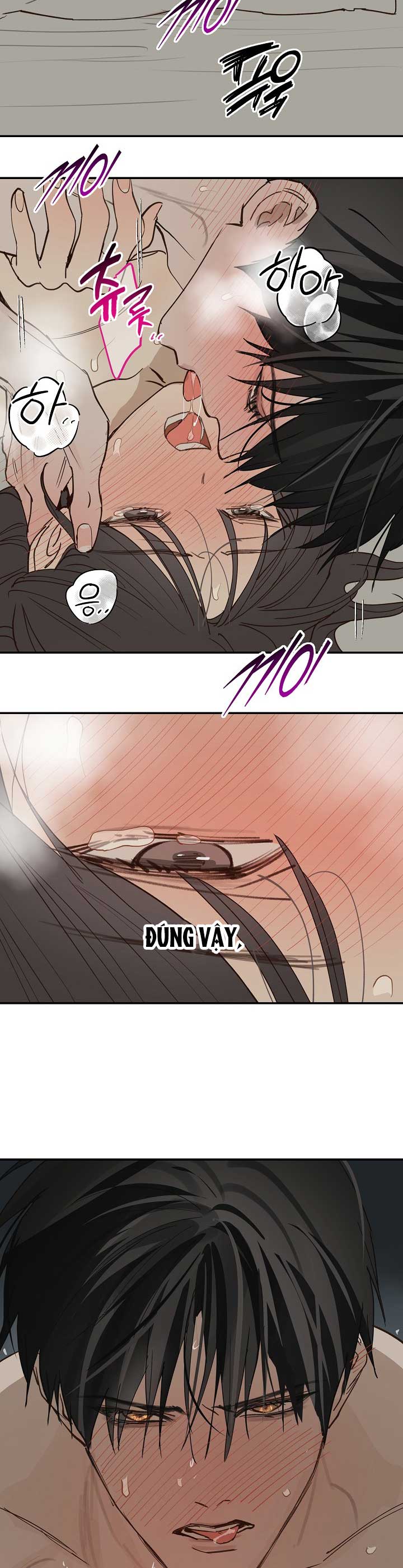 Đóa Hoa Là Mồi Nhử Chapter 51 - Trang 28