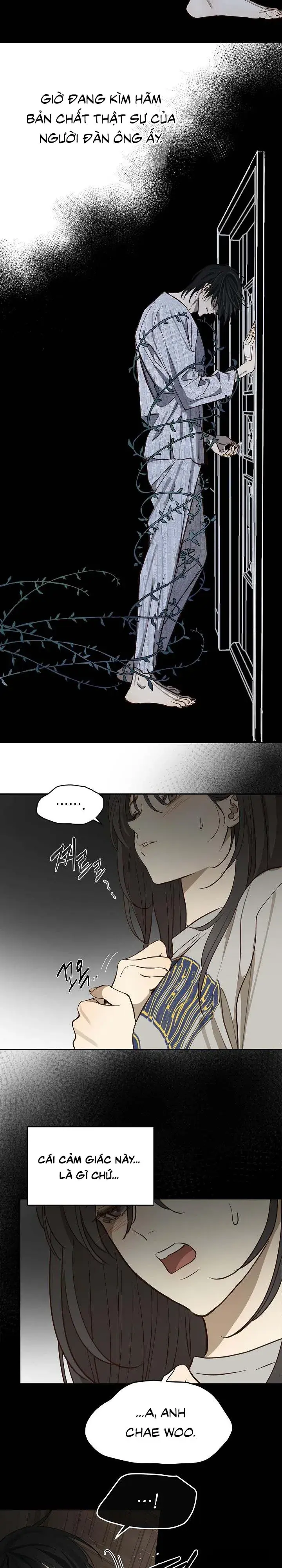 Đóa Hoa Là Mồi Nhử Chapter 8 - Trang 36