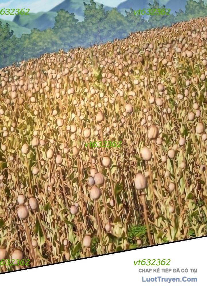 Độc Chiếm Thiên Cơ Chapter 37 - Trang 14