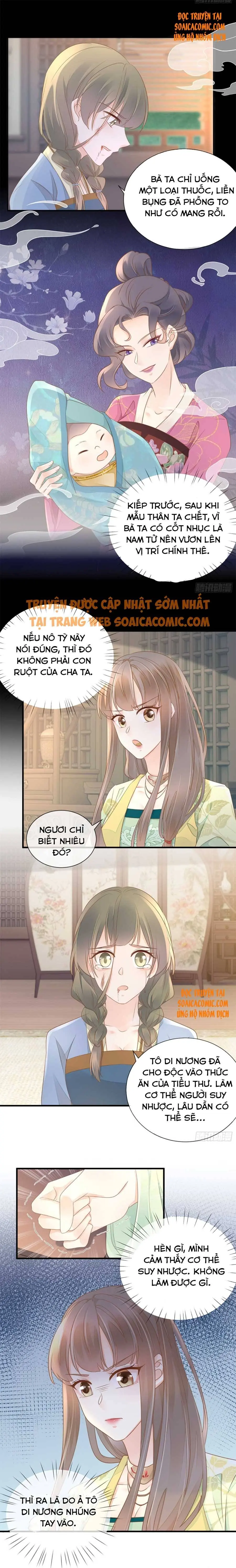 Độc Phi Trùng Sinh Báo Thù Chapter 14 - Trang 4