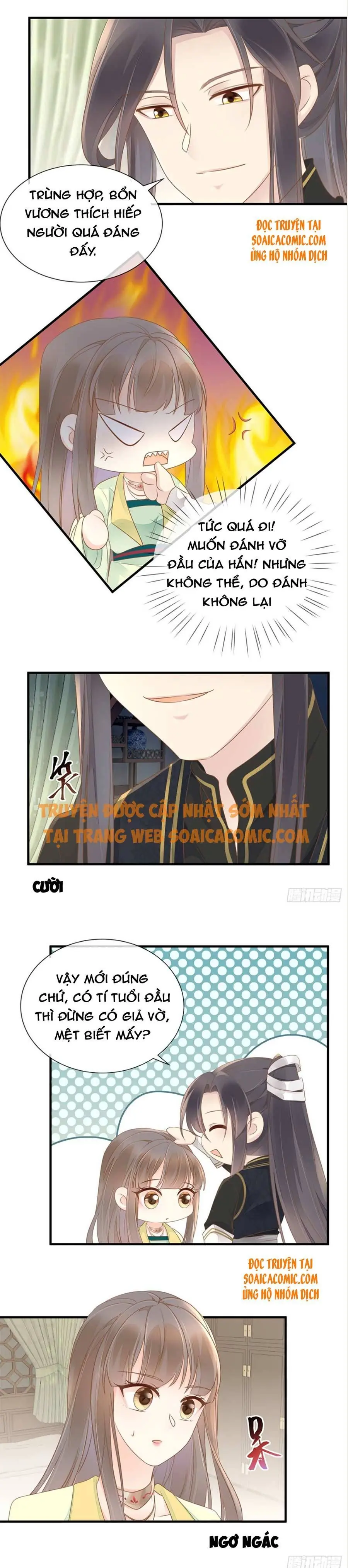 Độc Phi Trùng Sinh Báo Thù Chapter 16 - Trang 4