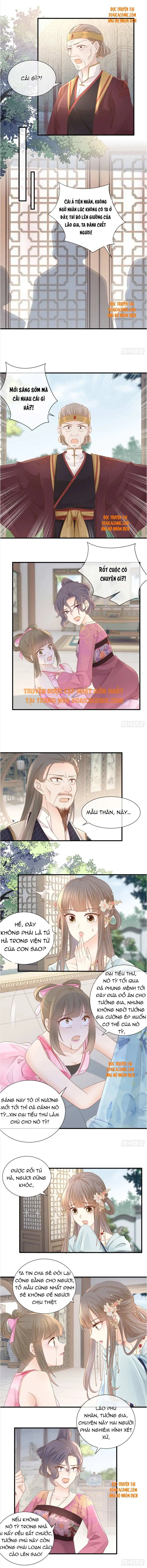 Độc Phi Trùng Sinh Báo Thù Chapter 19 - Trang 4