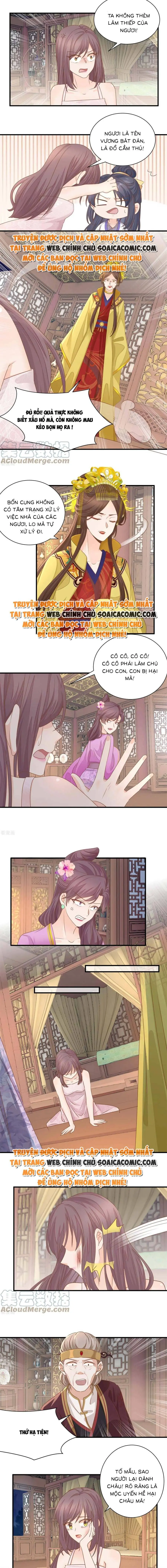 Độc Phi Trùng Sinh Báo Thù Chapter 24 - Trang 4
