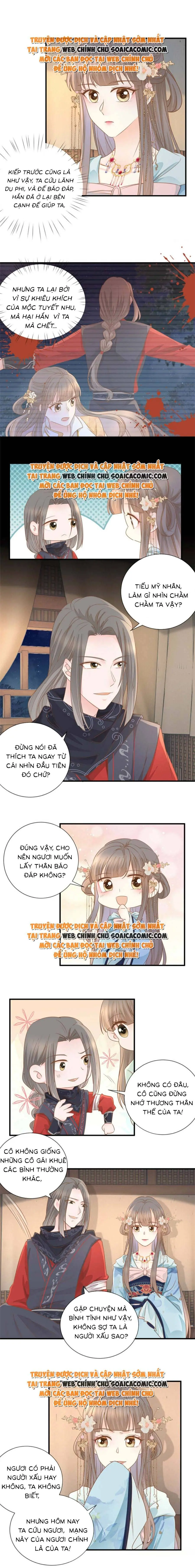 Độc Phi Trùng Sinh Báo Thù Chapter 26 - Trang 5