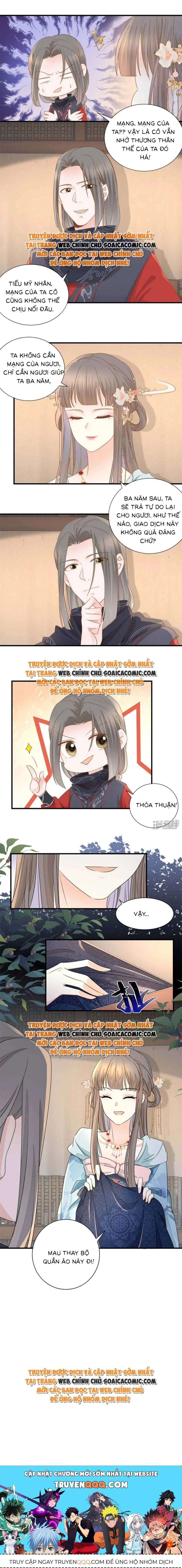Độc Phi Trùng Sinh Báo Thù Chapter 26 - Trang 6