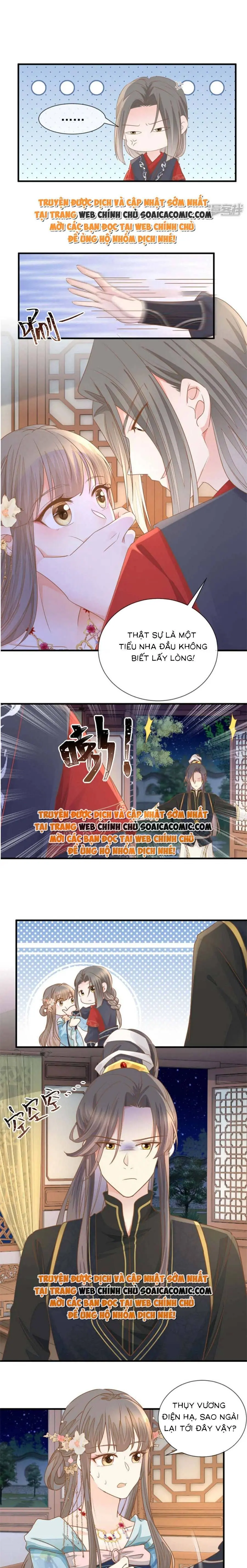 Độc Phi Trùng Sinh Báo Thù Chapter 27 - Trang 5