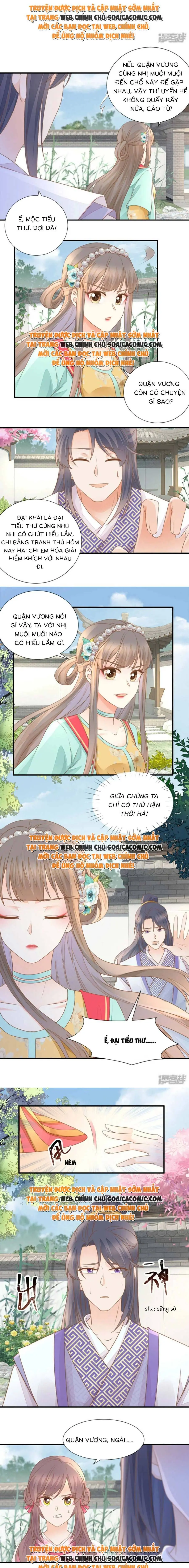 Độc Phi Trùng Sinh Báo Thù Chapter 29 - Trang 5