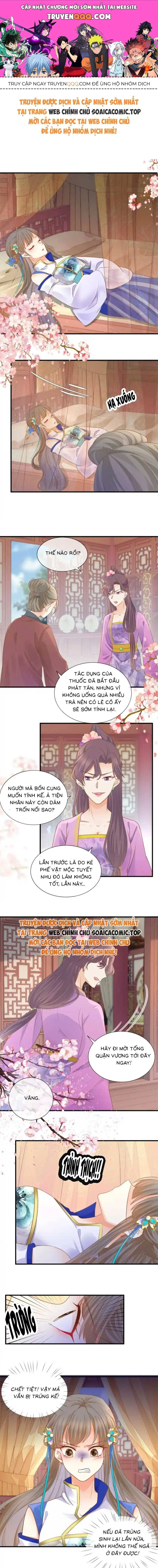 Độc Phi Trùng Sinh Báo Thù Chapter 34 - Trang 2