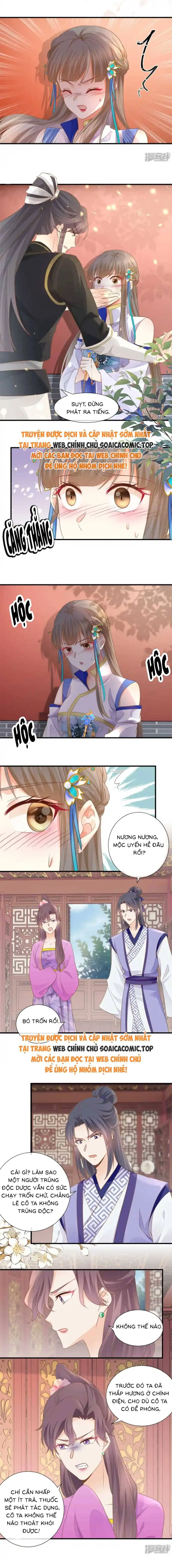 Độc Phi Trùng Sinh Báo Thù Chapter 34 - Trang 4