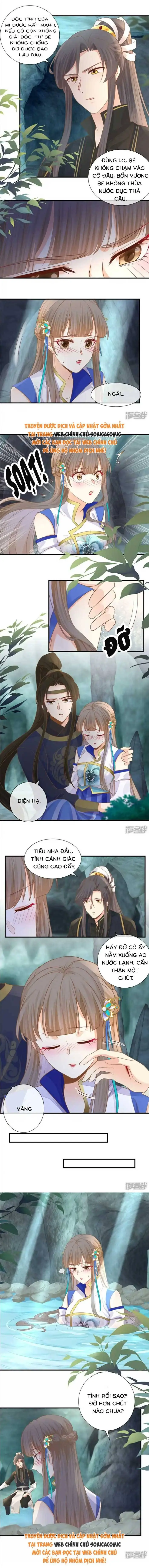 Độc Phi Trùng Sinh Báo Thù Chapter 35 - Trang 4