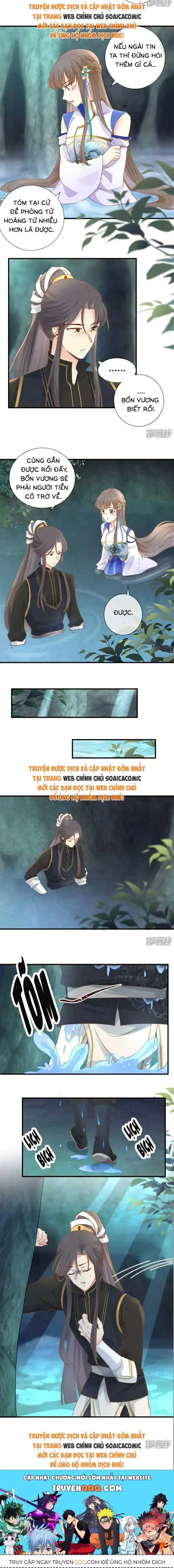 Độc Phi Trùng Sinh Báo Thù Chapter 36 - Trang 5