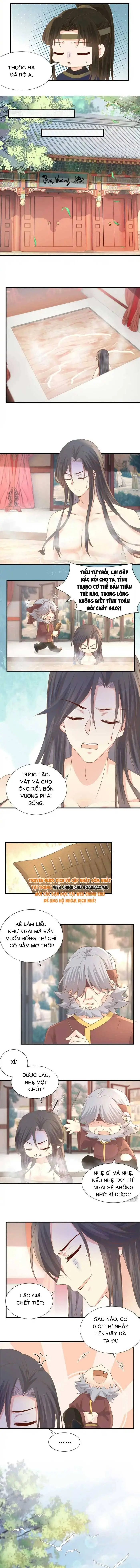 Độc Phi Trùng Sinh Báo Thù Chapter 37 - Trang 3