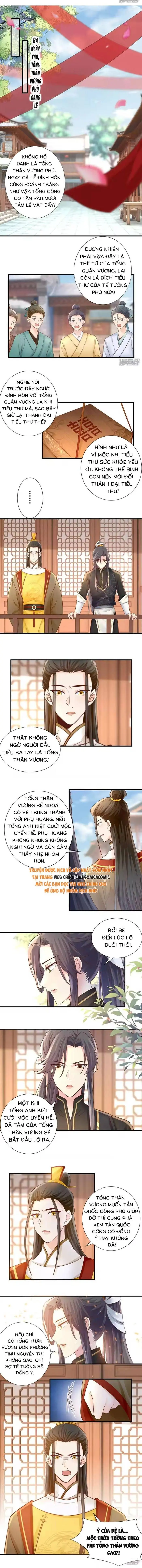 Độc Phi Trùng Sinh Báo Thù Chapter 47 - Trang 4