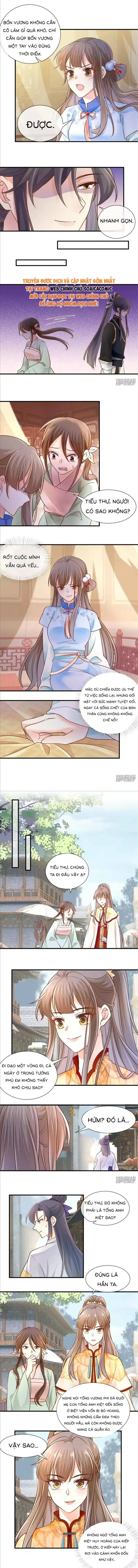 Độc Phi Trùng Sinh Báo Thù Chapter 51 - Trang 3