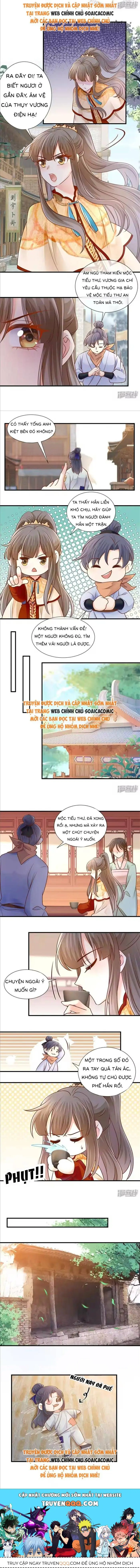 Độc Phi Trùng Sinh Báo Thù Chapter 51 - Trang 4
