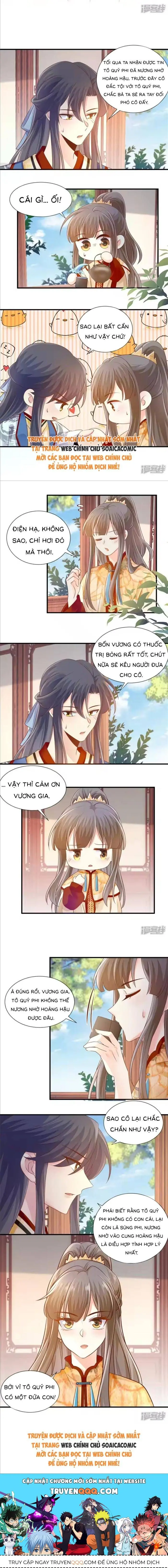 Độc Phi Trùng Sinh Báo Thù Chapter 52 - Trang 4