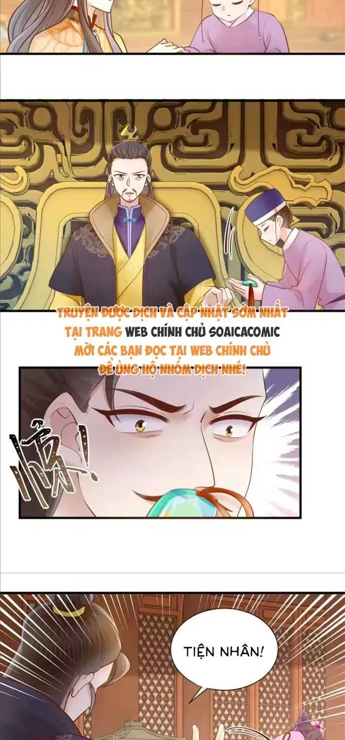 Độc Phi Trùng Sinh Báo Thù Chapter 57 - Trang 5