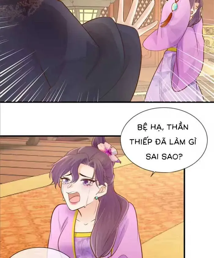 Độc Phi Trùng Sinh Báo Thù Chapter 57 - Trang 6