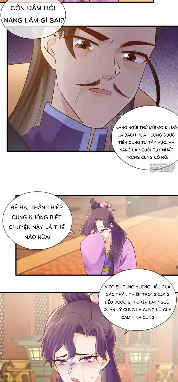 Độc Phi Trùng Sinh Báo Thù Chapter 57 - Trang 7