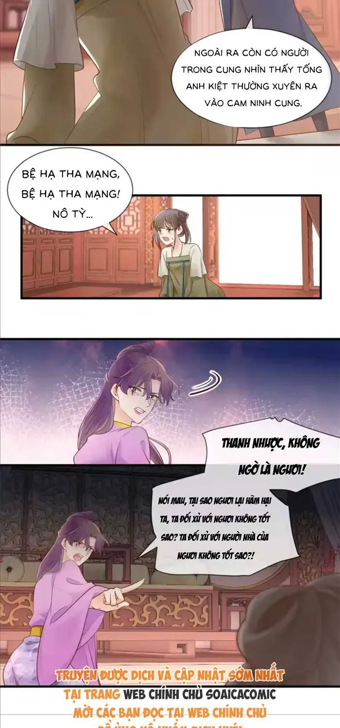 Độc Phi Trùng Sinh Báo Thù Chapter 58 - Trang 5
