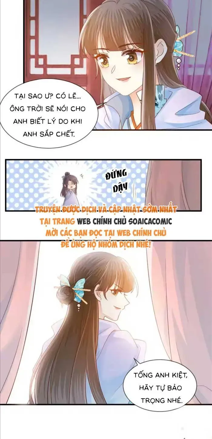 Độc Phi Trùng Sinh Báo Thù Chapter 60 - Trang 16