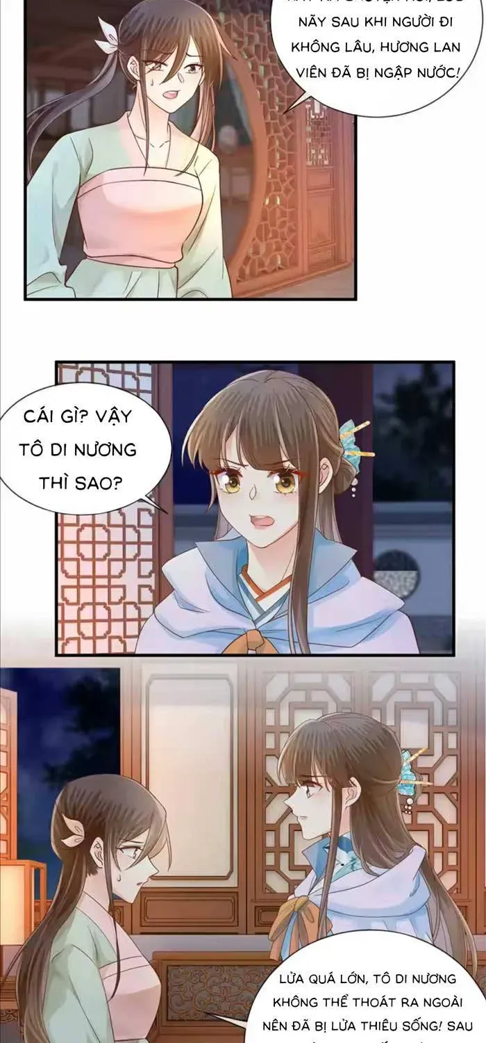 Độc Phi Trùng Sinh Báo Thù Chapter 61 - Trang 3