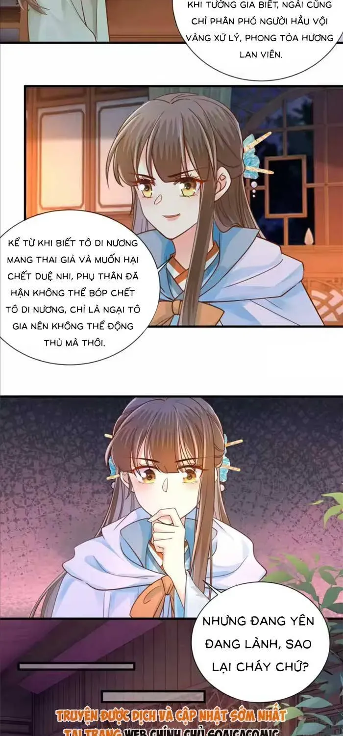 Độc Phi Trùng Sinh Báo Thù Chapter 61 - Trang 4