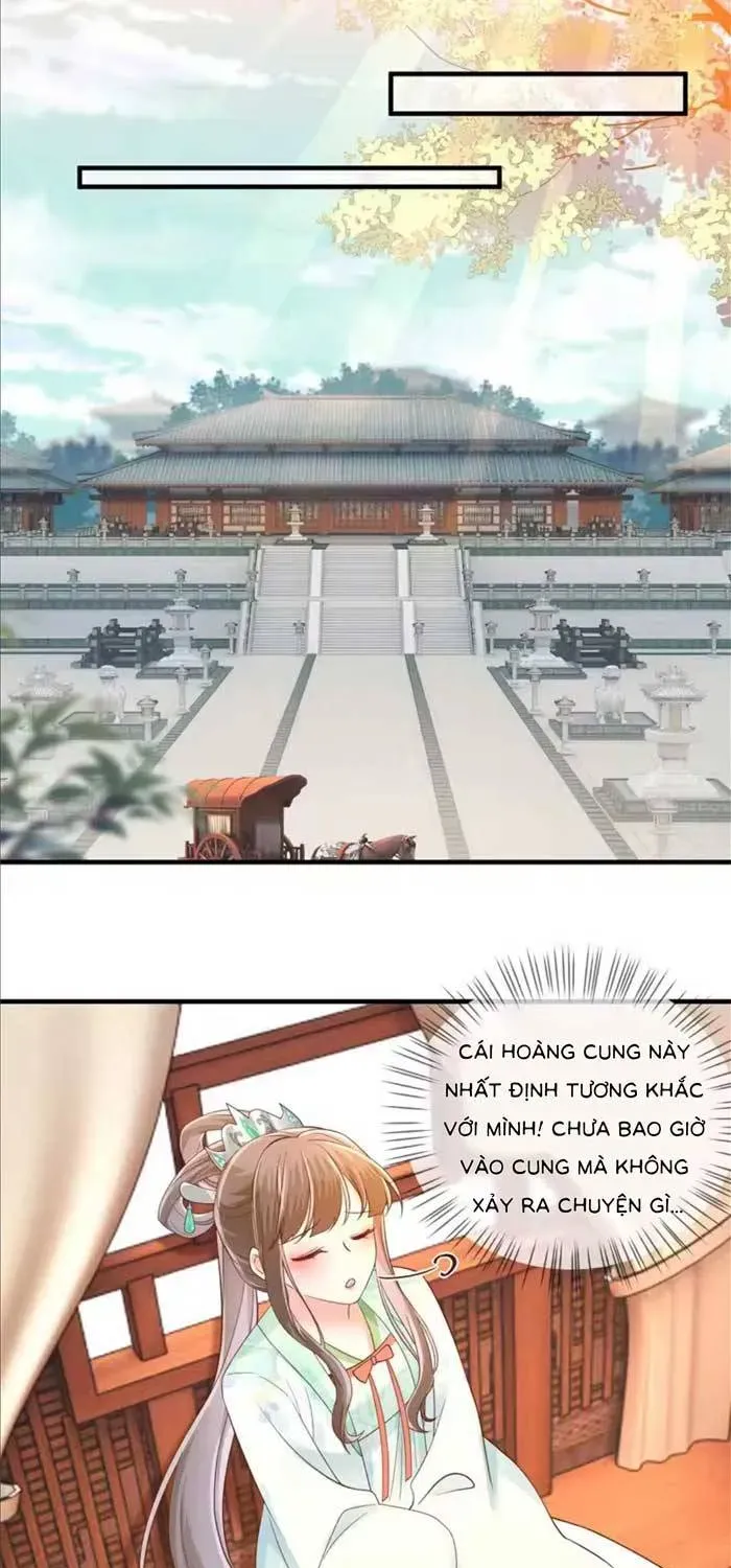 Độc Phi Trùng Sinh Báo Thù Chapter 63 - Trang 13