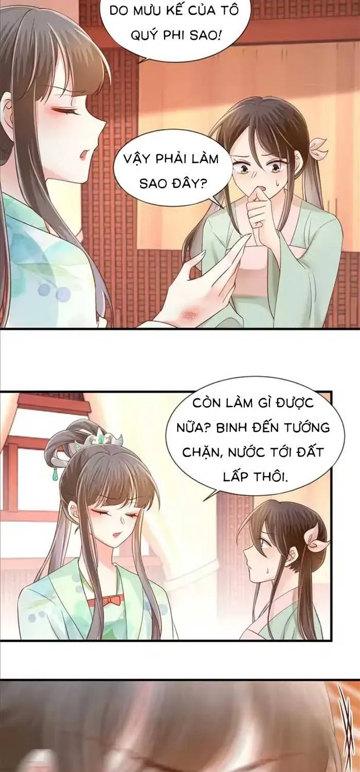 Độc Phi Trùng Sinh Báo Thù Chapter 63 - Trang 15
