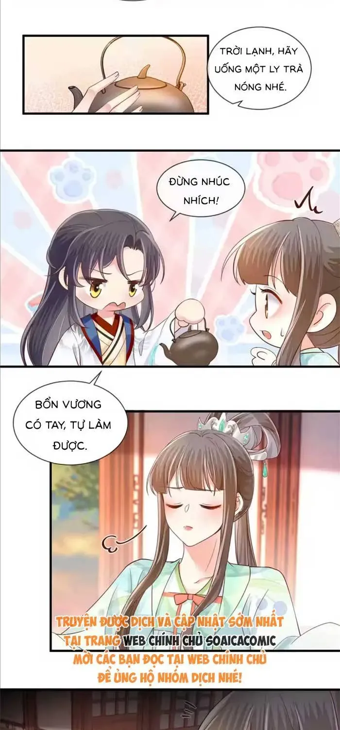 Độc Phi Trùng Sinh Báo Thù Chapter 64 - Trang 8