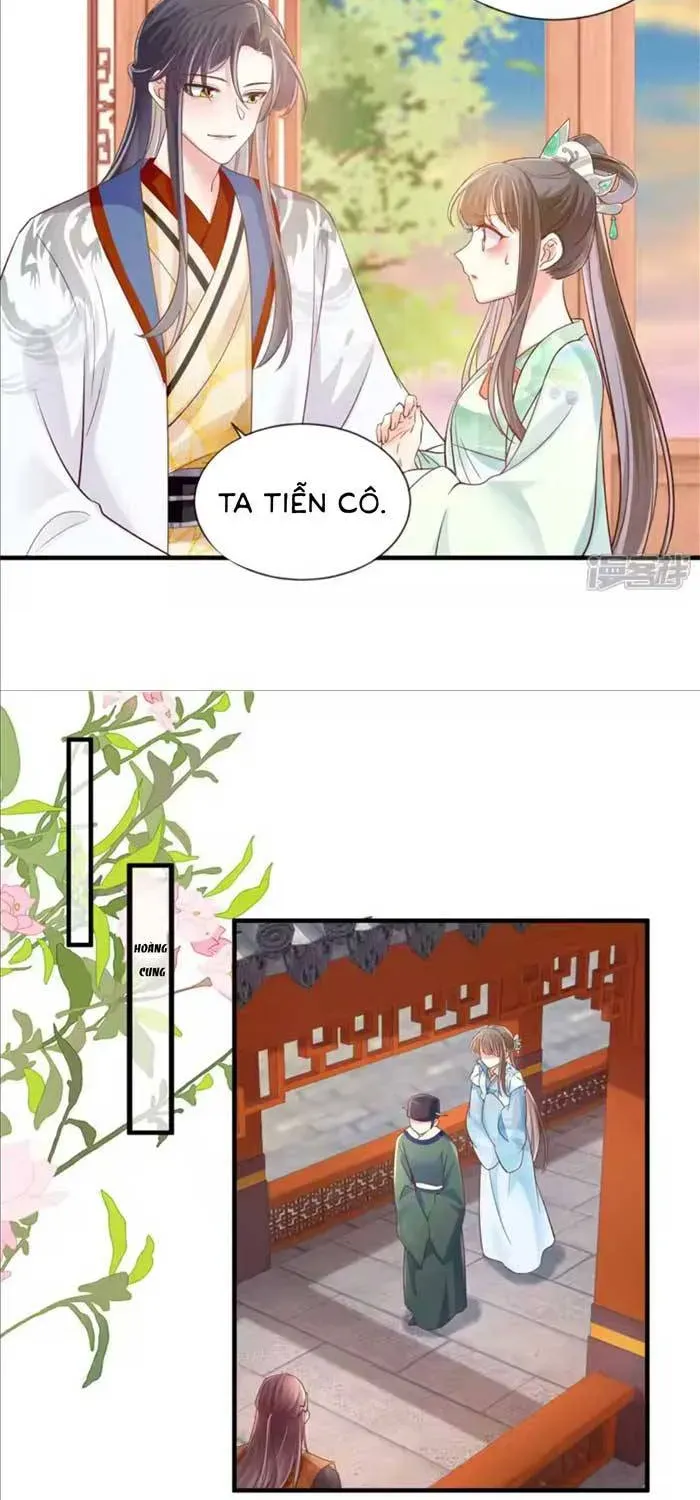 Độc Phi Trùng Sinh Báo Thù Chapter 65 - Trang 9