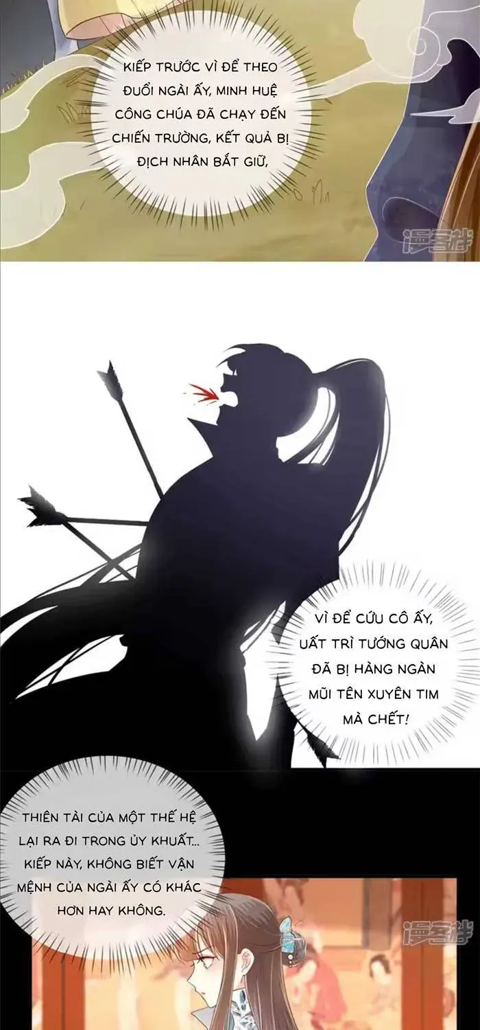Độc Phi Trùng Sinh Báo Thù Chapter 66 - Trang 11