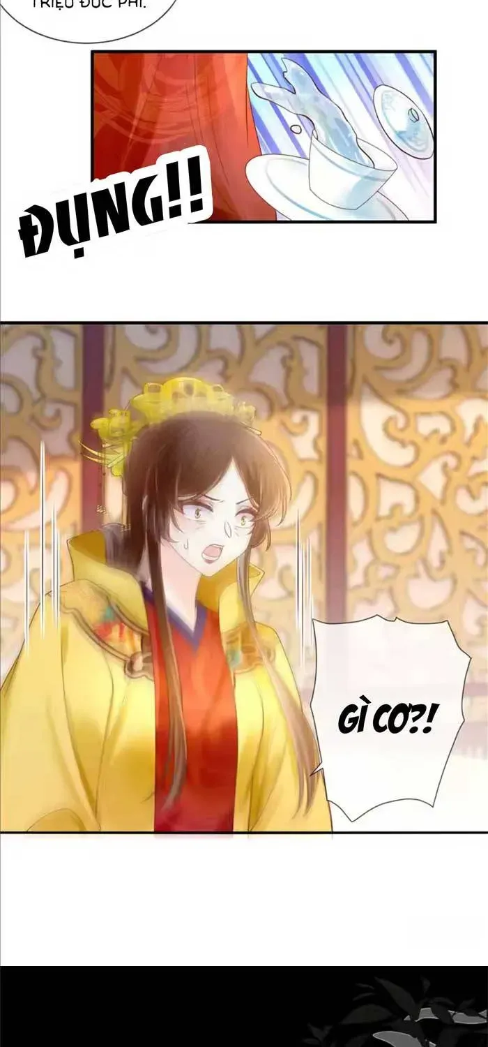 Độc Phi Trùng Sinh Báo Thù Chapter 66 - Trang 9