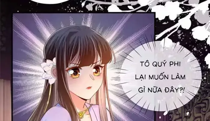 Độc Phi Trùng Sinh Báo Thù Chapter 70 - Trang 11