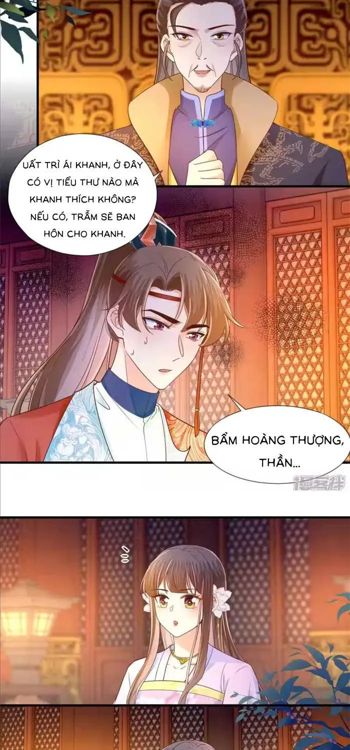 Độc Phi Trùng Sinh Báo Thù Chapter 70 - Trang 4