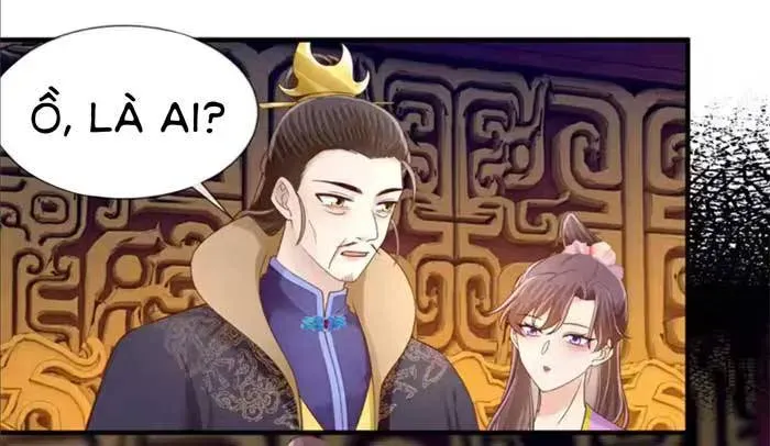 Độc Phi Trùng Sinh Báo Thù Chapter 70 - Trang 6