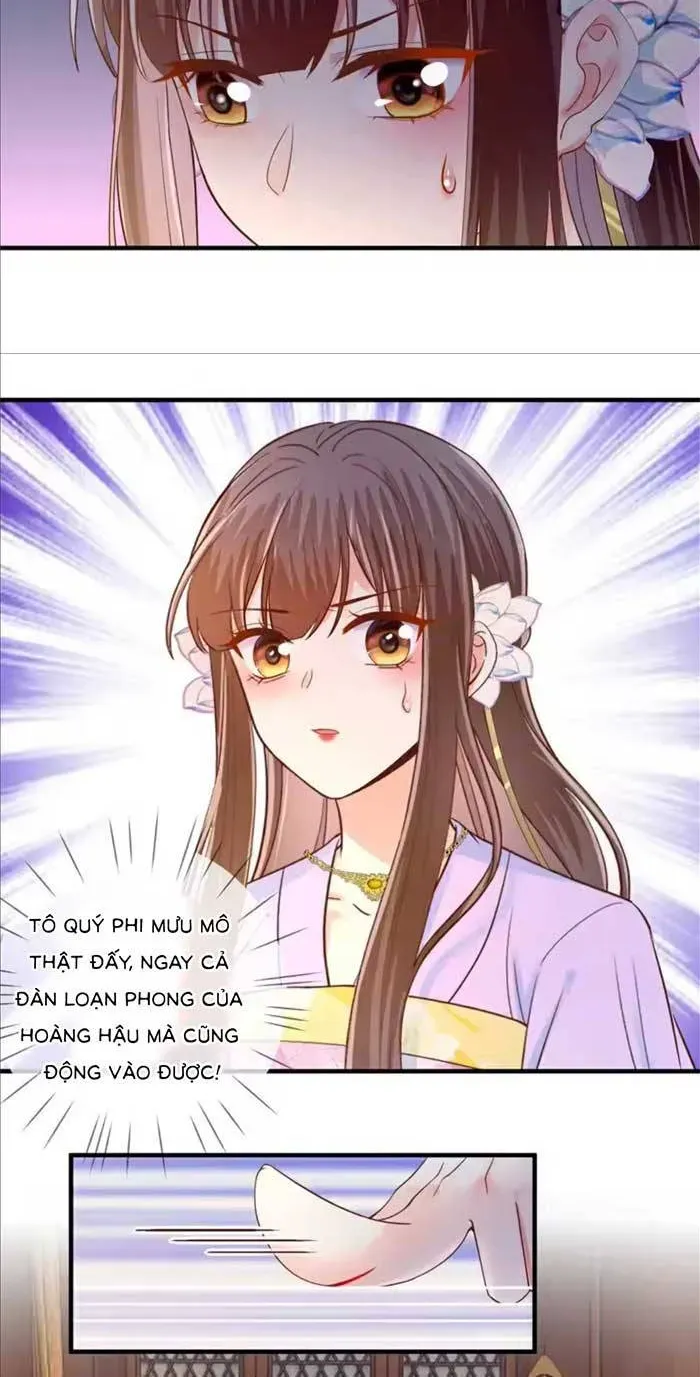 Độc Phi Trùng Sinh Báo Thù Chapter 71 - Trang 10