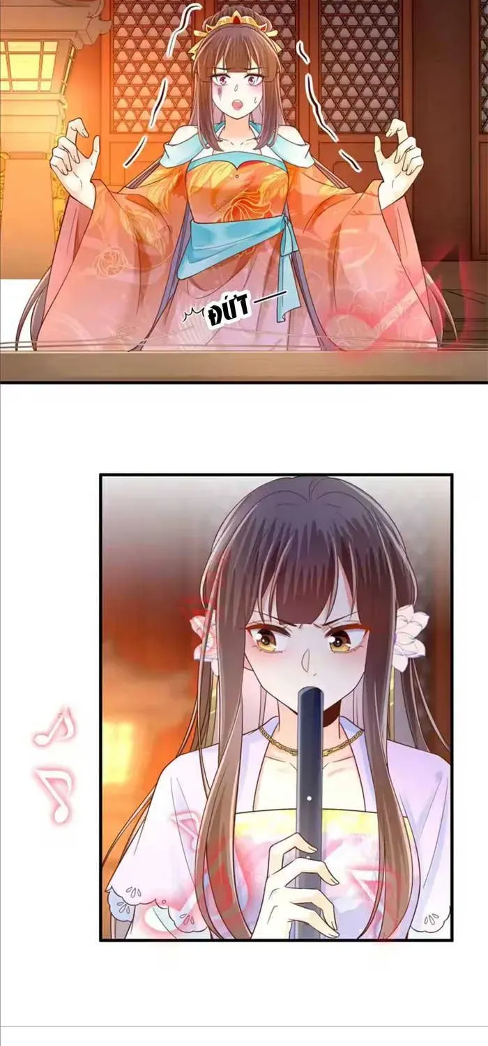 Độc Phi Trùng Sinh Báo Thù Chapter 72 - Trang 5