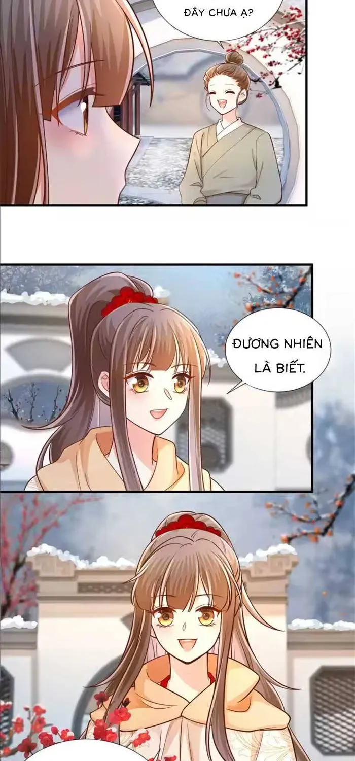 Độc Phi Trùng Sinh Báo Thù Chapter 74 - Trang 3