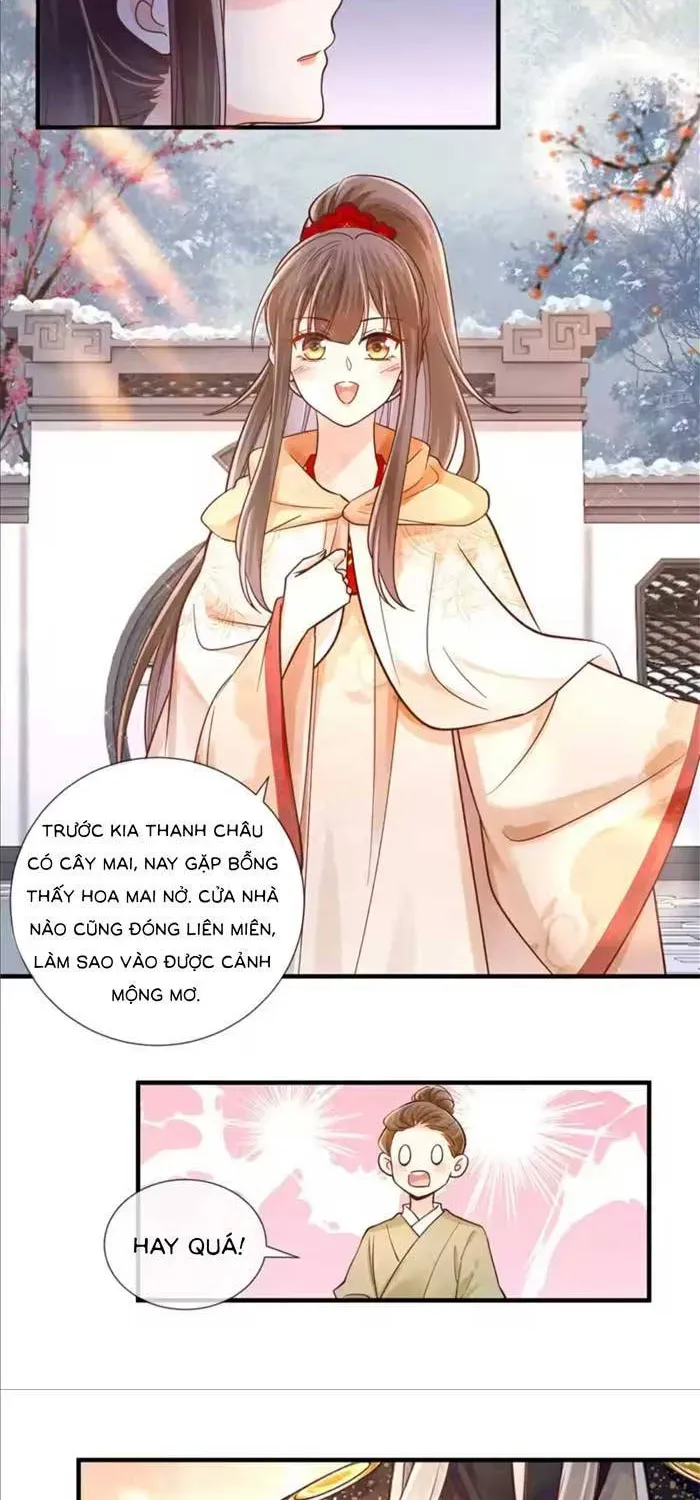 Độc Phi Trùng Sinh Báo Thù Chapter 74 - Trang 5