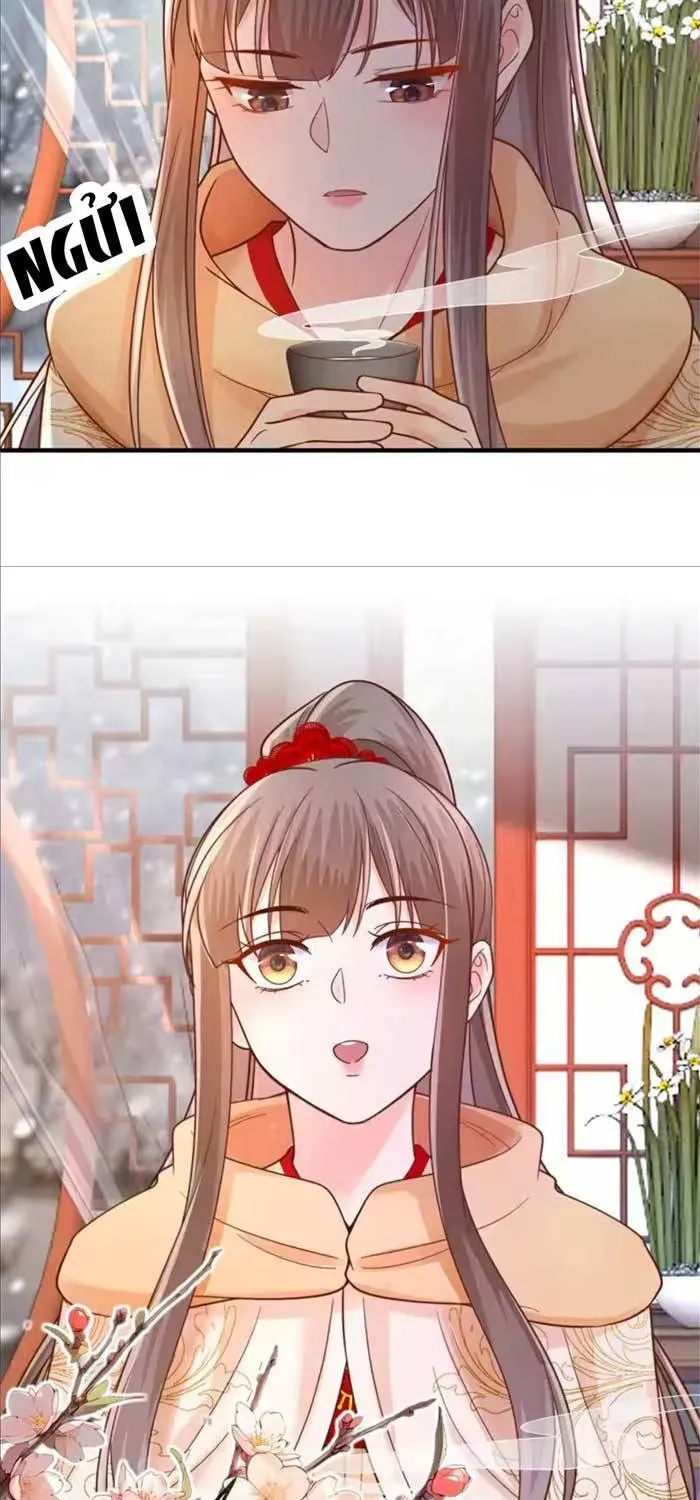 Độc Phi Trùng Sinh Báo Thù Chapter 75 - Trang 10